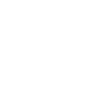 Design Icon