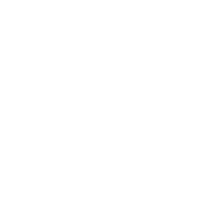 Fabric Icon